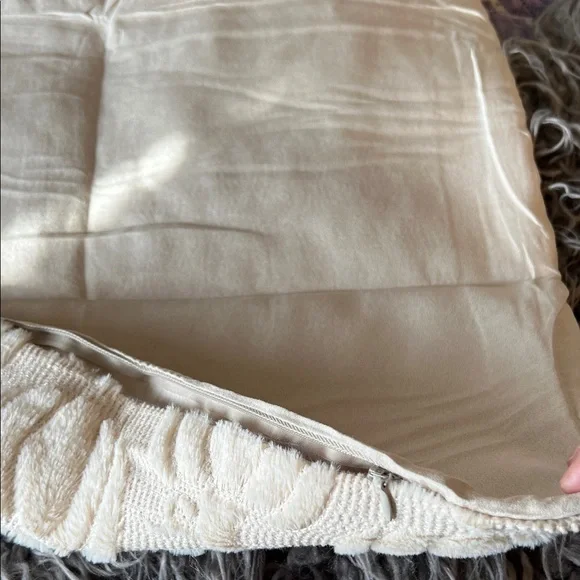 Elegant Pumpkin Cream Accent Pillow Case x2 NWT - Picture 6 of 7